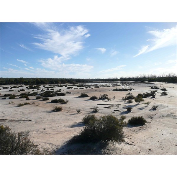 Salt Lake 10km west of Boingaring Rocks, Telegraph Track - July 2009