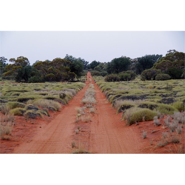 The Anne Beadell Highway