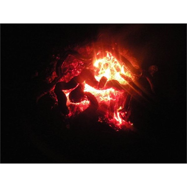 Dinner ? Snakes in the coals.