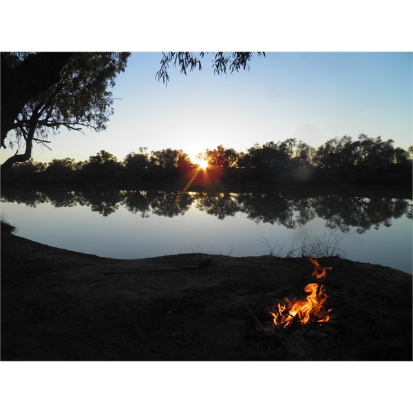 The Dig Tree on Cooper Creek