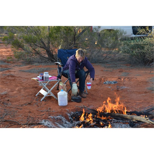 Dingo Claypan Track