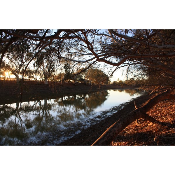Eringa Waterhole