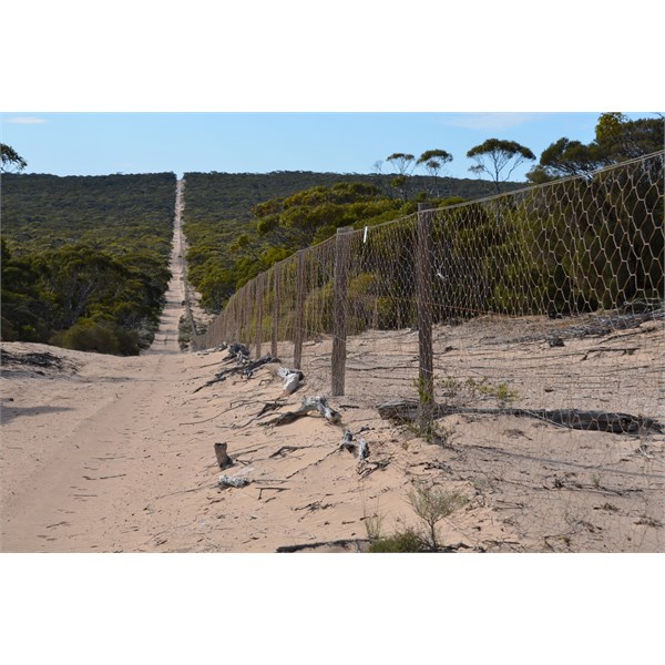 Travelling right alond side of the Dog Fence