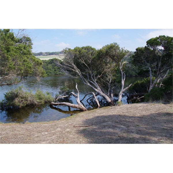 Camping area on the Eastern Side of Chapman River