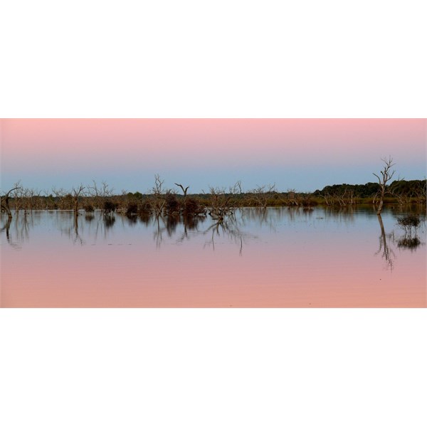 Mendee Lake camp
