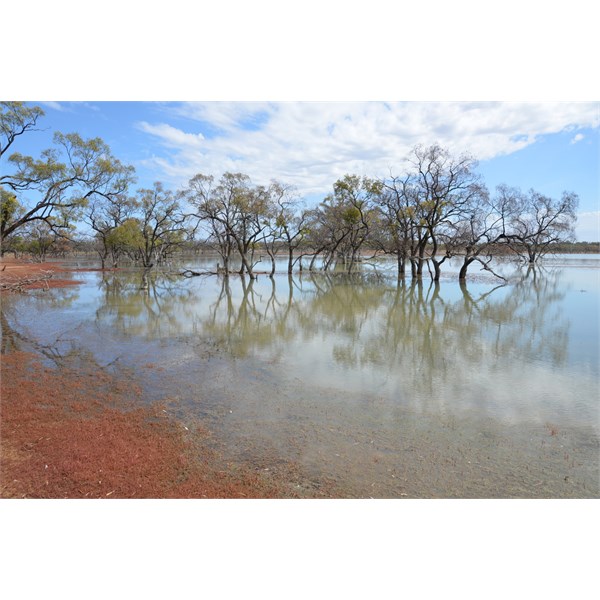 Large body of water before Lochlilly Station