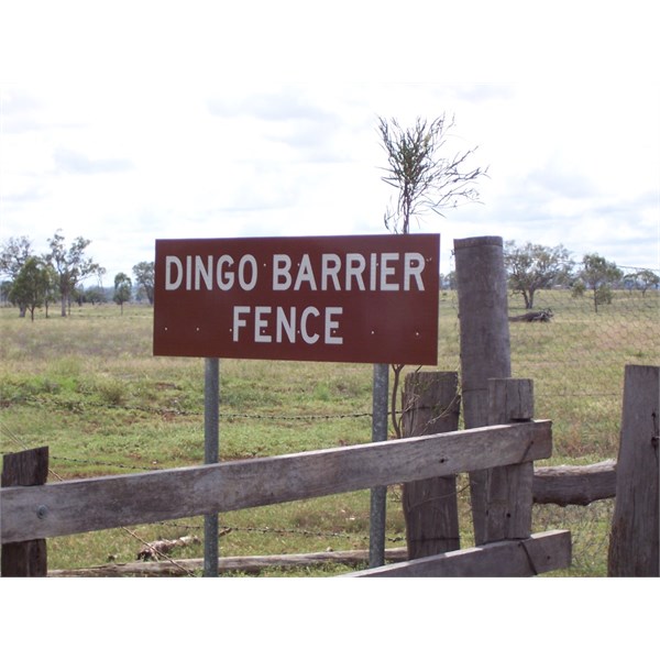 Start of the Dog Fence in QLD