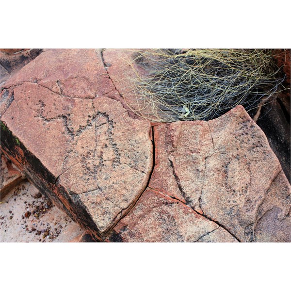 One of many petroglyphs in area