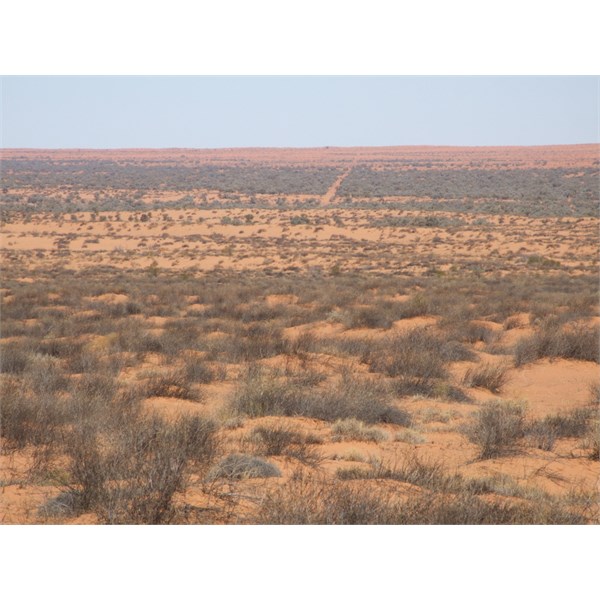 Just point your vehicle in the direction of that blaze through the Gidgee