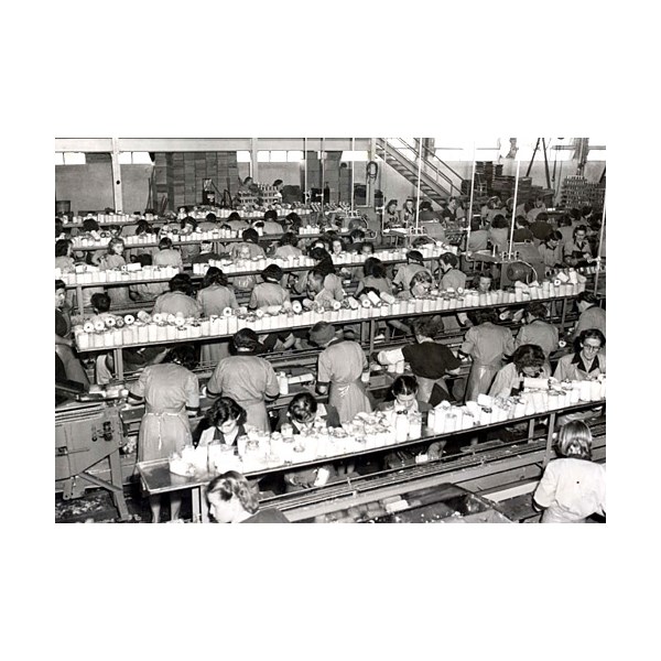 employees at the Golden Circle pineapple cannery at Northgate, Brisbane in 1948
