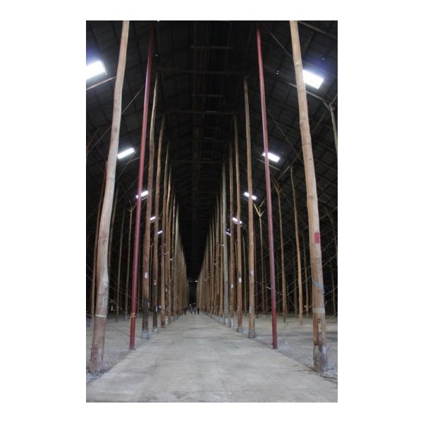 Pole Replacements