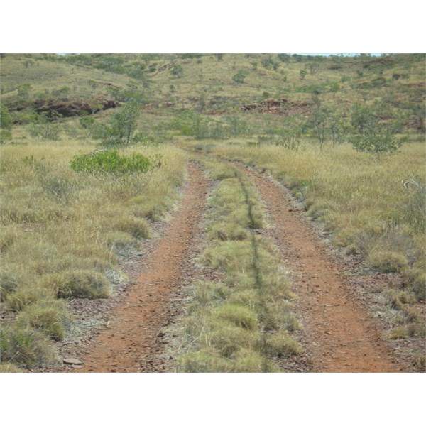 Off Road Trail