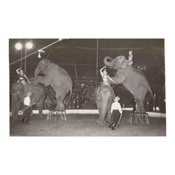 Stafford and Cleo Bullen working elephant act 1950