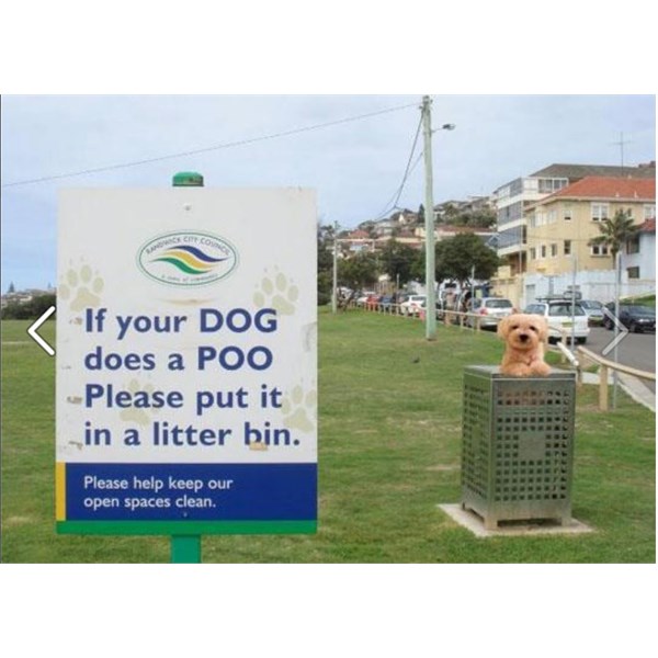 Dog in bin