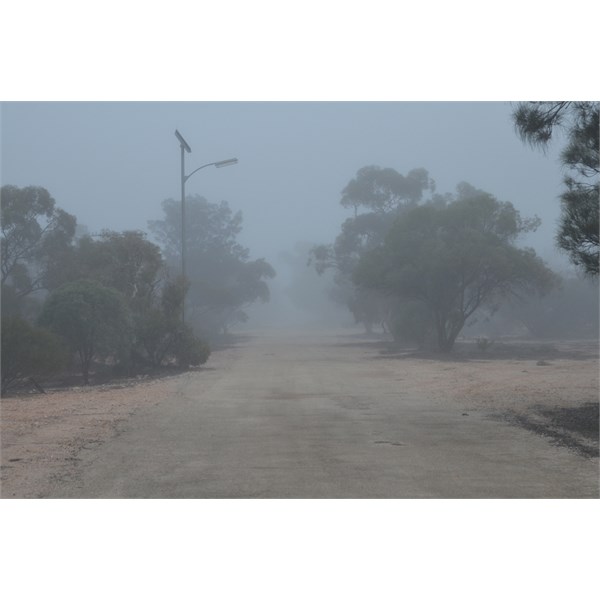 Our first morning at Maralinga....foggy