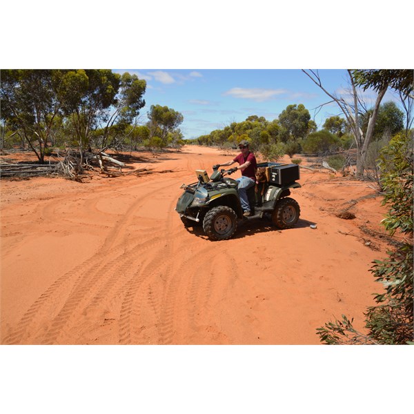 Quad on Ponton Creek