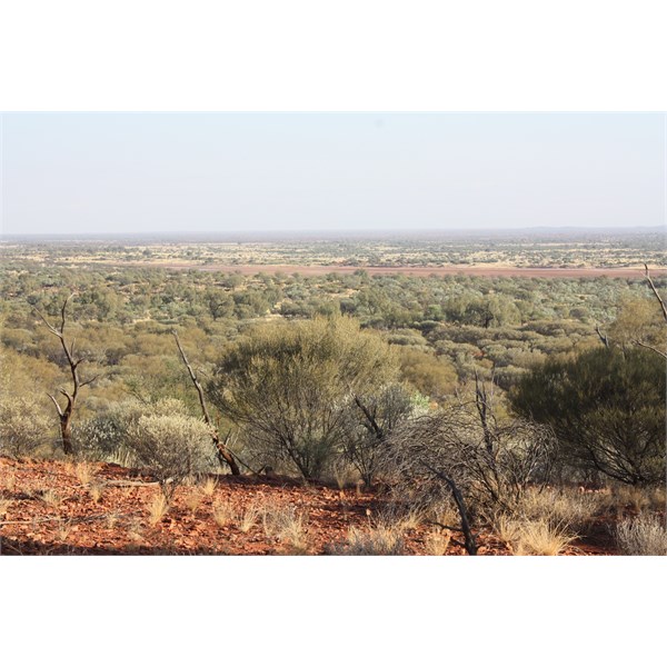 View from top