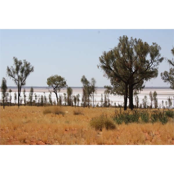 Lake Neale