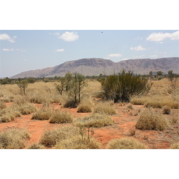 Mount Curruthers