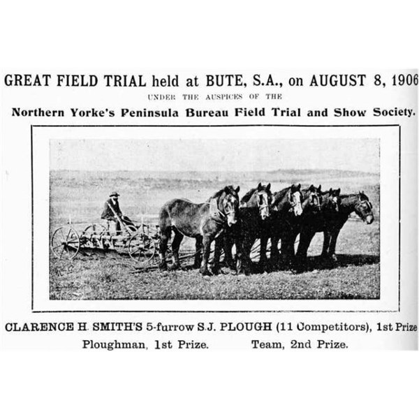 Stump Jump Plough at Bute Field Day 1906