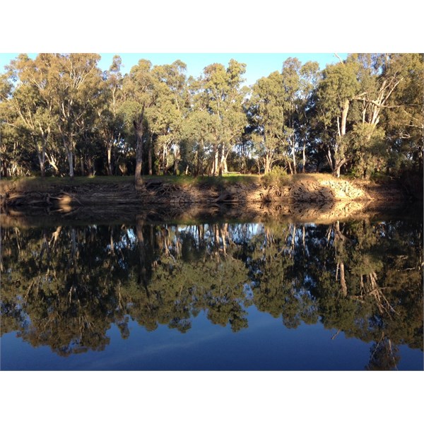 Murray at Corowa