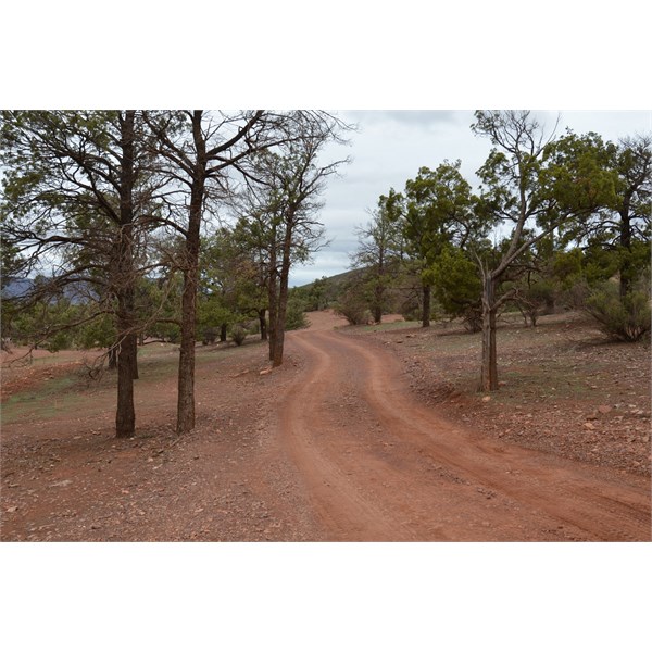 Track leading to bush camping sites at Rawnsley Park