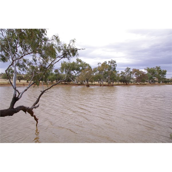 Eringa Waterhole is a top location to camp