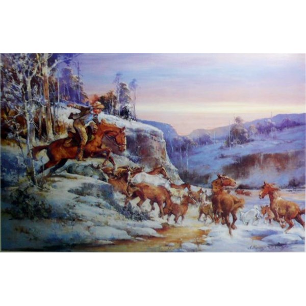 Snowy River Chase