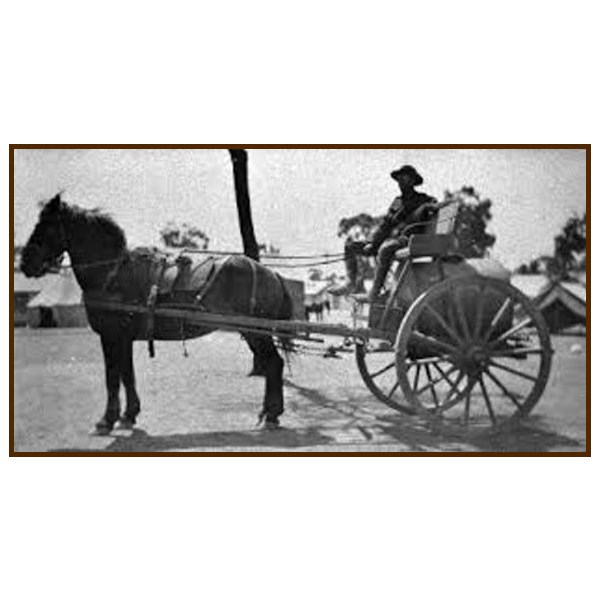 A soldier drives a horsedrawn Furphy water cart at Puckapunyal, Vic 1926.