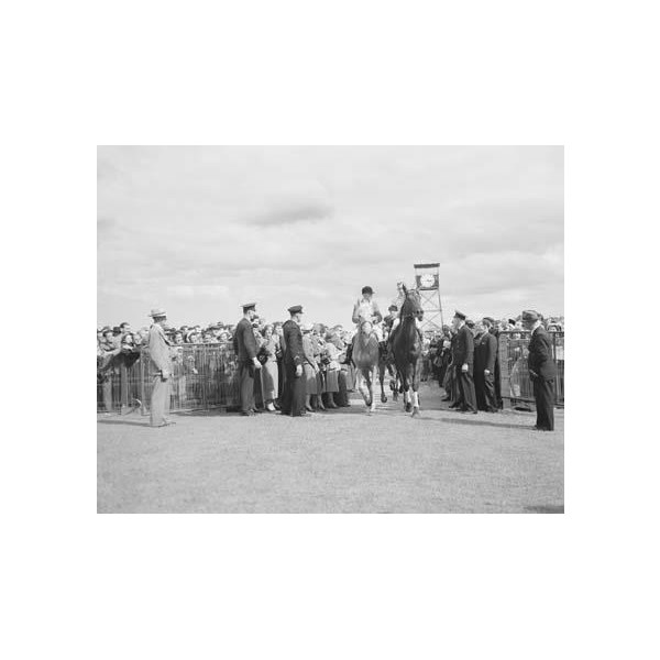 The winner of the 1952 Melbourne Cup - New Zealand champion Dalray ridden by W Williamson