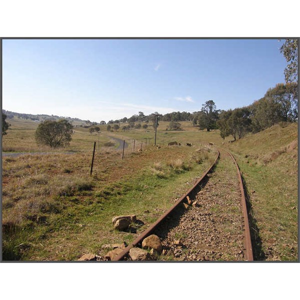 Ben Lomond track alongside the road