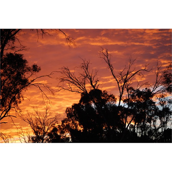 Murray River Sunset