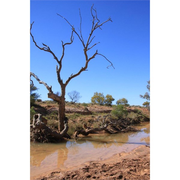 Mulgaria 4x4 track - Creek Crossing