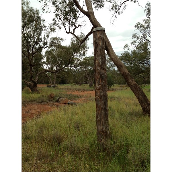 Replica of ancient Aboriginal totem