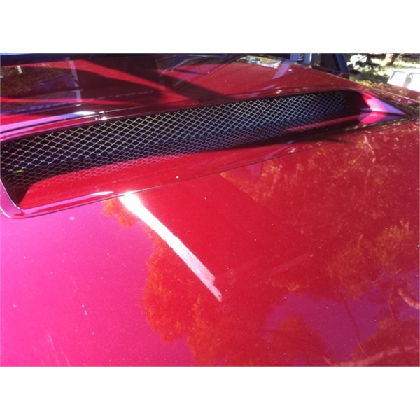 Bonnet scoop mesh