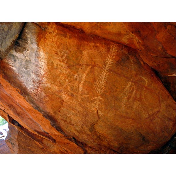 Virgin Springs Rock-art