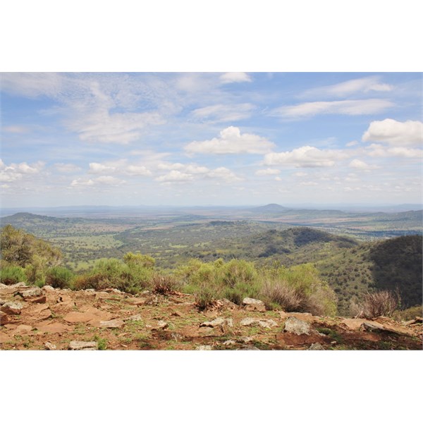 Looking towards the Warrumble Ranges