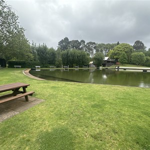 Fonty's Pool & Caravan Park