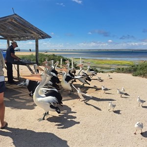 Venus Bay Beachfront Tourist Park