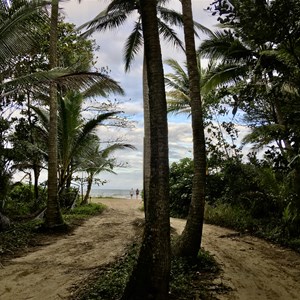 Daintree Beach Resort
