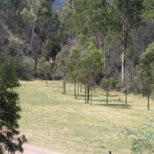 secluded bush camp (no facilities) 200m upstream