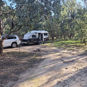 Reedy Creek