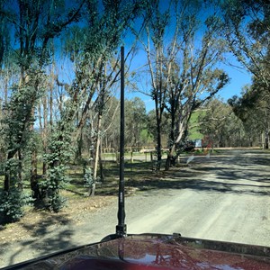 Brooks River Reserve