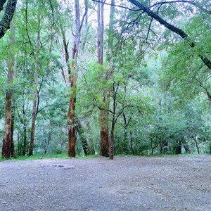 Skipworth Reserve Jamieson