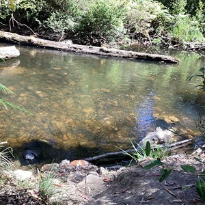 Frenchmans Creek Campground