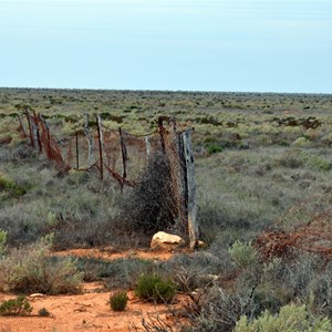 Passing through Old Vermin Proof Fence