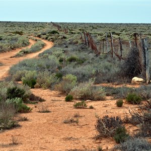 Once through the fence, the track follows the fence line for a short distance