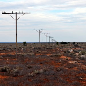 Old Telegraph Lines that run all the way to Maralinga