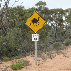Oak Valley turnoff - Camel Sign