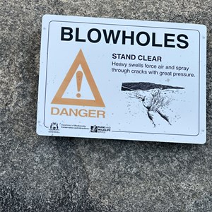 The Blowholes